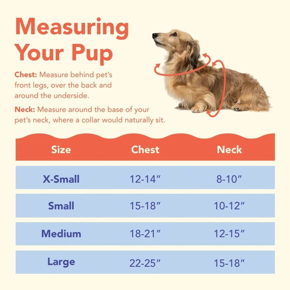 Oodles Purple Daisy Dreams Turtle Neck Fall Dog Sweater, XS - Picture 4 of 4